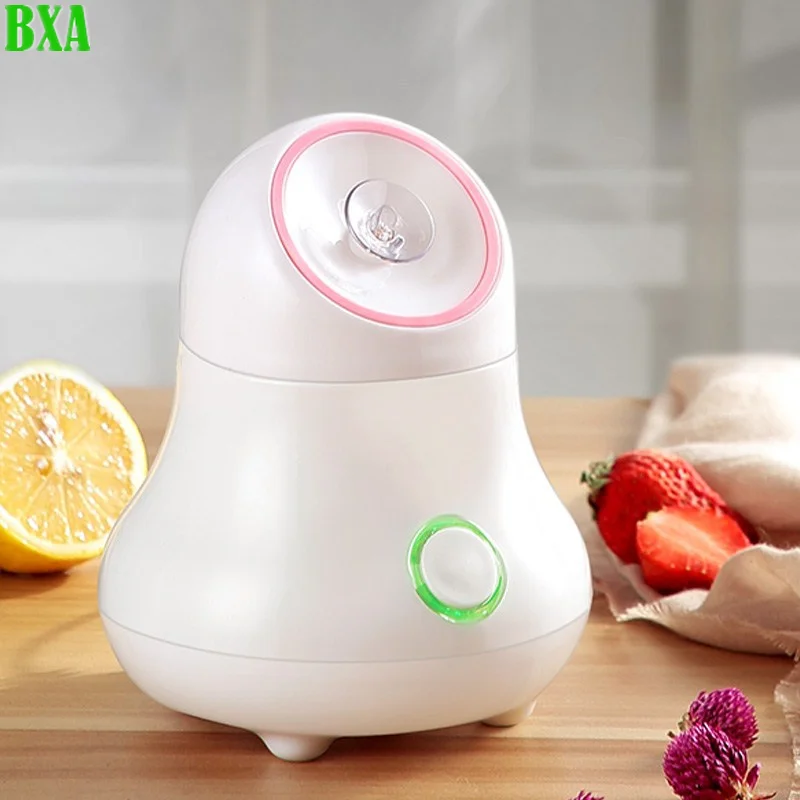 Facial Steamer Nano - Распылитель для лица для фруктов и
